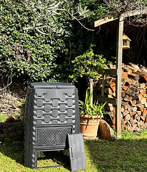 ILLUSTRATIONS DIVERS SITE BAK (5).png