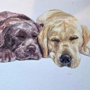 watercolour portrait of two dogs laying next to each other with their eyes closed