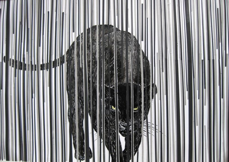 Der Panther