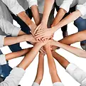 team.webp