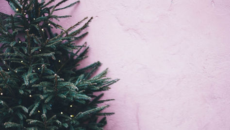 First Church Giving Tree - Details