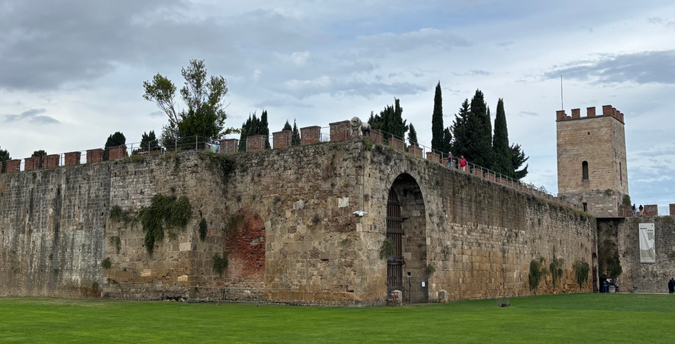 Stone fortress wall with an arched gate and tower surrounded by green grass under a cloudy sky.