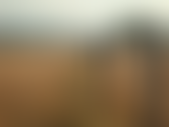 Invasão de Terreno: Guia Legal para Construção Ilegal