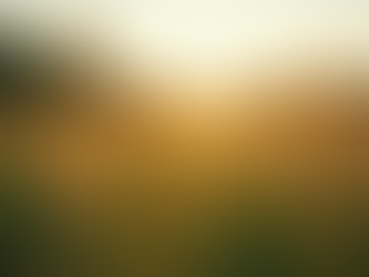 Acusação de Crime Injusta: 5 Passos Essenciais