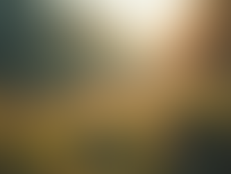 Impostos para Pequenos Negócios em Casa