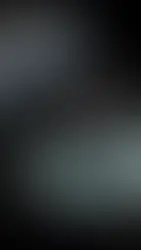 R4 E-Tech Electric