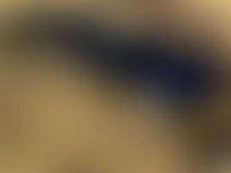 LAWN AERATOR, consigned in April 4, 2026 Auction