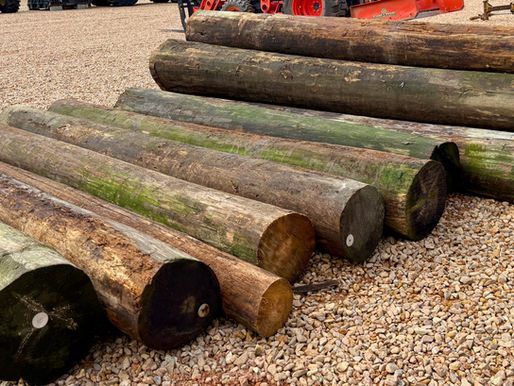 LOT OF FIFTEEN (15) ROUND POSTS, consigned in October 4, 2025 Auction