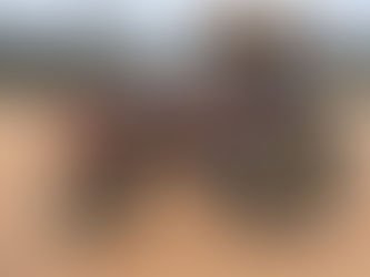 MASSEY FERGUSON 283 TRACTOR, consigned in April 4, 2026 Auction