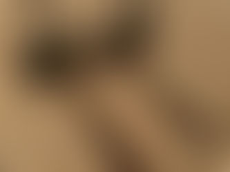 PALLET FORKS, consigned in April 4, 2026 Auction