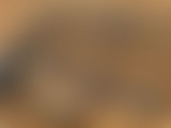 SECTION HARROW, consigned in October 4, 2025 Auction