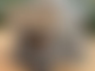 TCI FOUR TON ALUMINUM FERTILIZER SPREADER, consigned in October 4, 2025 Auction