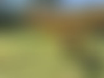 VERMEER VR1022 HAY RAKE, consigned in April 4, 2026 Auction