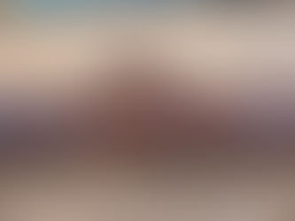 CULTIPACKER, consigned in April 4, 2026 Auction