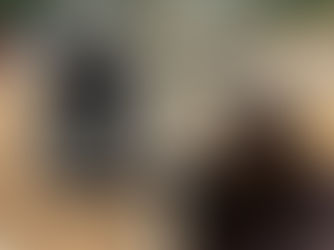 KUBOTA 500 RTV, consigned in April 4, 2026 Auction