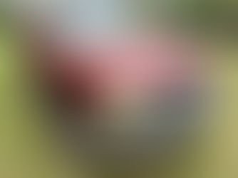 2004 CHEVROLET TAHOE, consigned in April 4, 2026 Auction