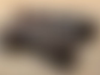 TUFLINE TSF DISC - FIVE (5) FOOT, consigned in April 4, 2026 Auction