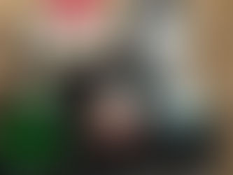 LOT OF CHICKEN NEXT BOXES AND WATERERS, consigned in April 4, 2026 Auction