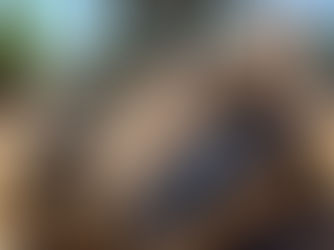 BOBCAT T300 SKIDSTEER, consigned in April 4, 2026 Auction