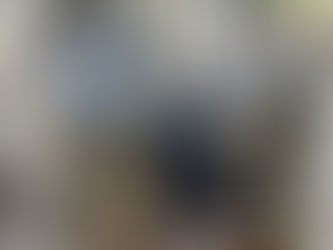 LOT OF FOUR (4) MOULTREE FEEDERS ON STANDS WITH MOTORS/SPINNERS, consigned in October 4, 2025 Auction