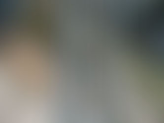 LOT OF TWO (2) EXTENSION LADDERS, consigned in October 4, 2025 Auction