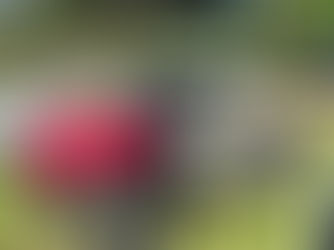 INGERSOLL-RAND CARRY-ALL 272 UTV, consigned in April 4, 2026 Auction