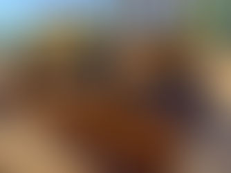 CATERPILLAR D4C DOZER, consigned in April 4, 2026 Auction