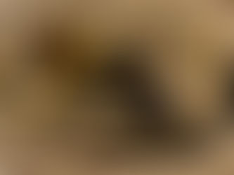 KING KUTTER ROTATING ARENA DRAG, consigned in April 4, 2026 Auction