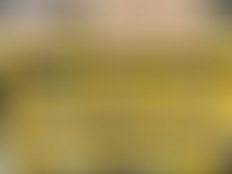 NAPA ORGANIZER TOOLBOX CADDY WITH MISC. CATERPILLAR PARTS, consigned in October 4, 2025 Auction