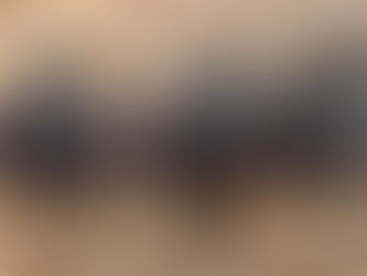 JOHN DEERE ROTARY HOE, consigned in April 4, 2026 Auction