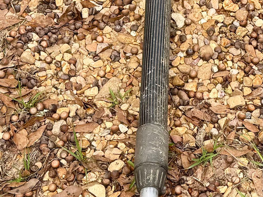 STIHL POLE SAW, consigned in April 4, 2026 Auction