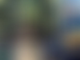 LOT OF TWO OUTDOOR PROPANE HEATERS, consigned in October 4, 2025 Auction