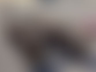 LONG SIX (6) FOOT DISC, consigned in October 4, 2025 Auction