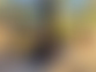 CATERPILLAR T50D FORKLIFT, consigned in April 4, 2026 Auction