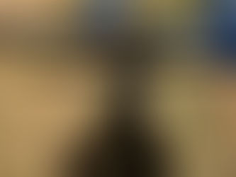 AUGER POLE, consigned in April 4, 2026 Auction