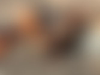 PZ HAY CUTTER, consigned in April 4, 2026 Auction