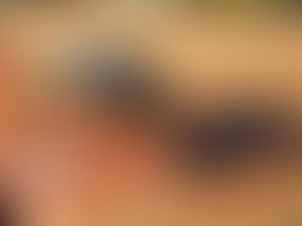 RHINO ROTARY CUTTER, consigned in April 4, 2026 Auction