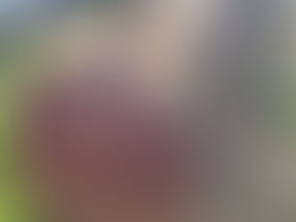 DIESEL TANK, consigned in April 4, 2026 Auction