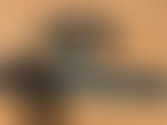 2017 TOYOTA TACOMA 3.5 INCH LEVELING KIT AND TIGER BUMPER, consigned in April 4, 2026 Auction