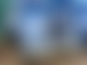 1993 PETERBILT 379 TANDEM DUMP TRUCK, consigned in April 4, 2026