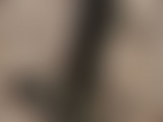 HAY SPEAR, consigned in April 4, 2026 Auction