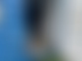 FORTY (40) FOOT CONTAINER WITH CONTENTS, consigned in April 4, 2026 Auction