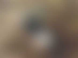 GRADER BLADE, consigned in April 4, 2026 Auction