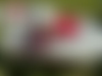 CHAPIN SPRAYER SYSTEM, consigned in October 4, 2024 Auction