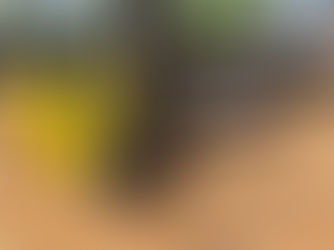 CLARK FORKLIFT, consigned in April 4, 2026 Auction