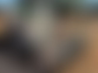 2019 BOBCAT T870 SKIDSTEER, consigned in October 4, 2025 Auction