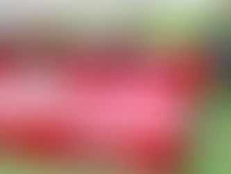 BUSH HOG 3210 ROTARY CUTTER, consigned in April 4, 2026 Auction