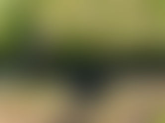 RECEIVER HITCH FOR FRAME HOOK-UP, consigned in April 4, 2026 Auction