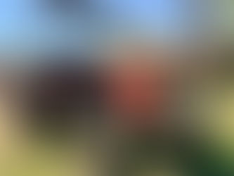 CASE INTERNATIONAL 395 WITH WINCH, consigned in April 4, 2026 Auction