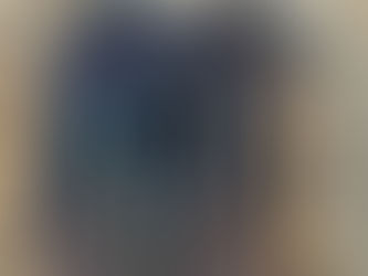 DIRT SCOOP FOR MULE WITH COLLAR, consigned in October 4, 2025 Auction